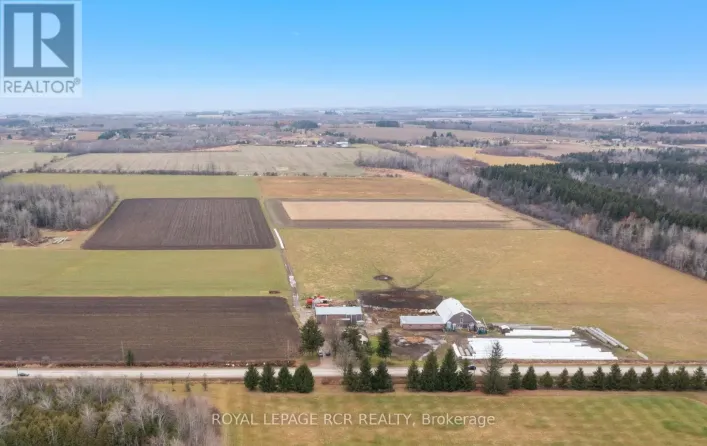 553456 MONO AMARANTH TOWNLINE, Amaranth