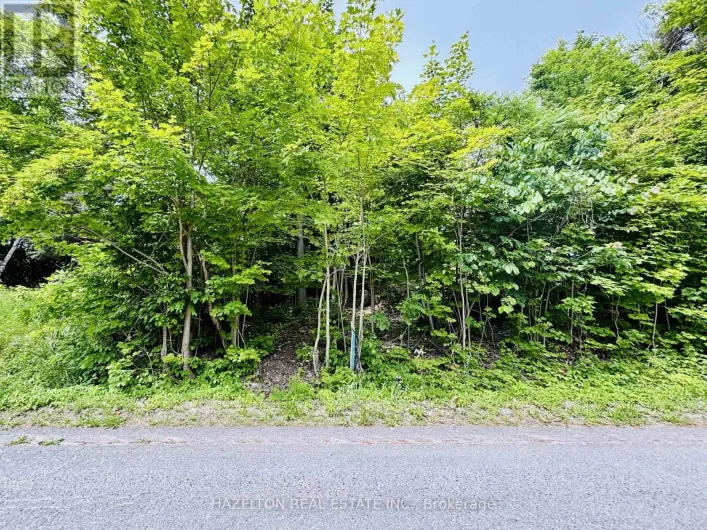 554 BARNES AVENUE, Tay