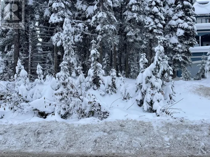 555 Monashee Road, Silver Star