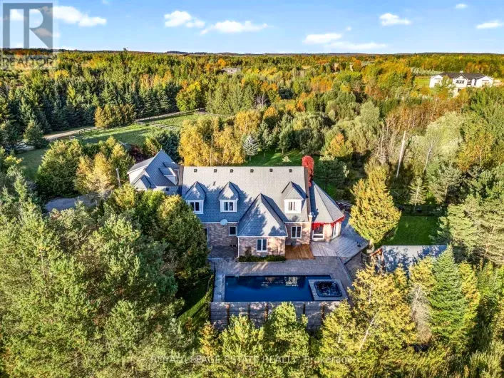 555086 MONO AMARANTH TOWNLINE, Amaranth