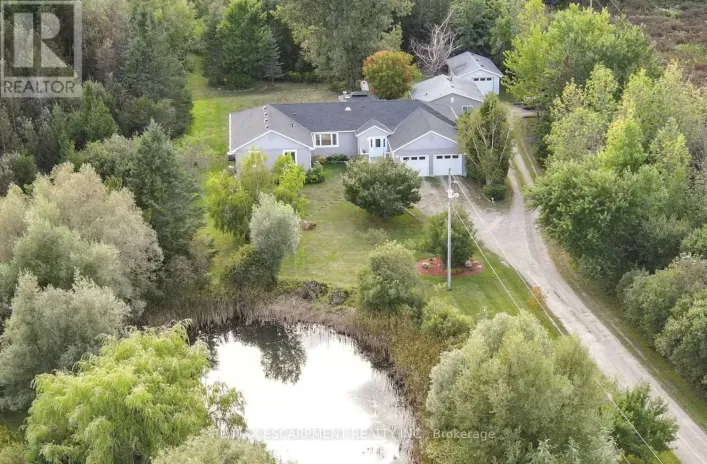 555118 MONO AMARANTH TOWNLINE, Mono