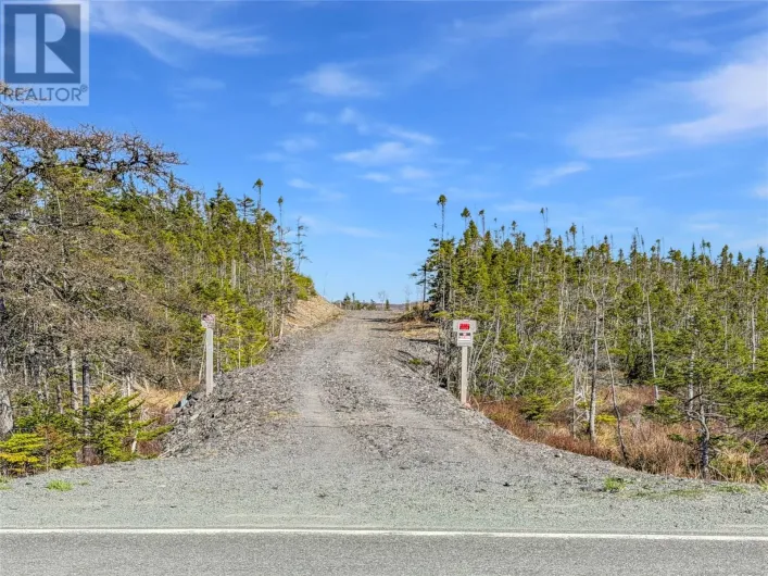 556 Salmonier Line, Salmonier