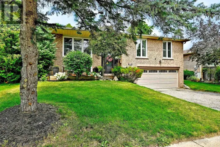 559 HAINES ROAD, Newmarket