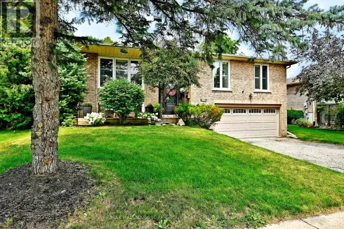 559 HAINES ROAD, Newmarket