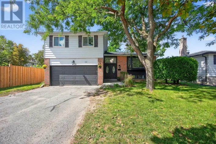 56 BRIAR ROAD, Barrie