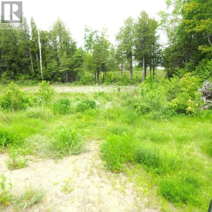 56 Lighthouse Point, Thessalon