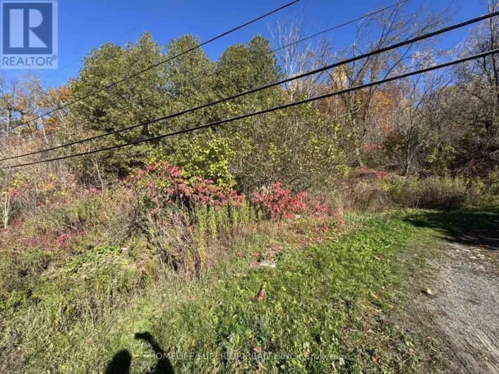 58 MAIN STREET, Marmora and Lake