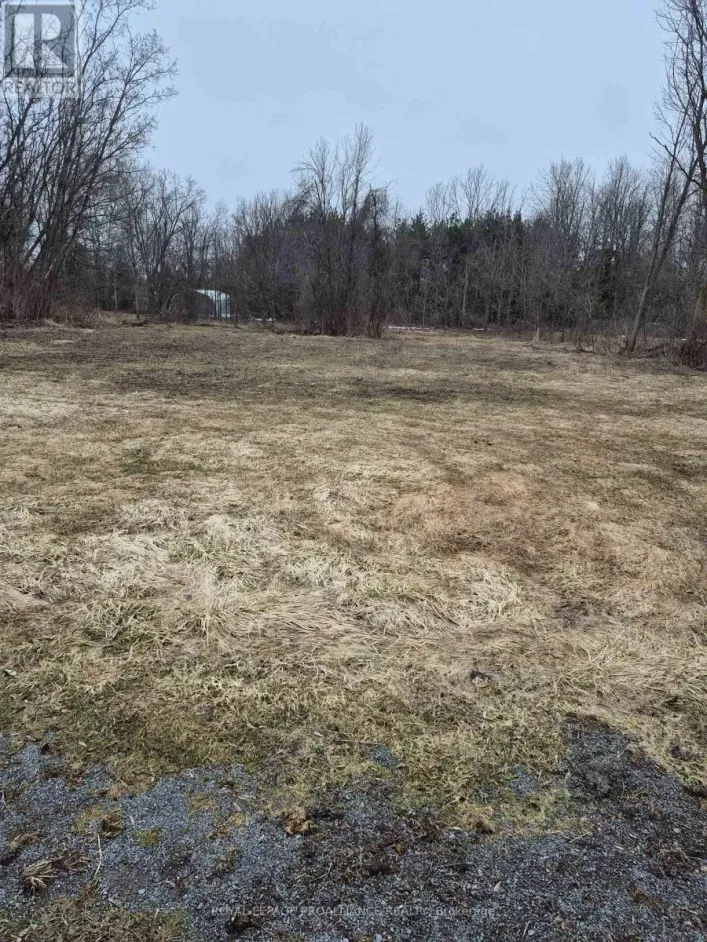 58 WALT STREET, Brighton