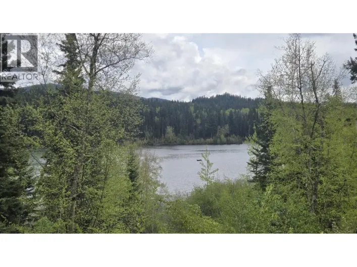 5858 MAHOOD LAKE ROAD, Lone Butte