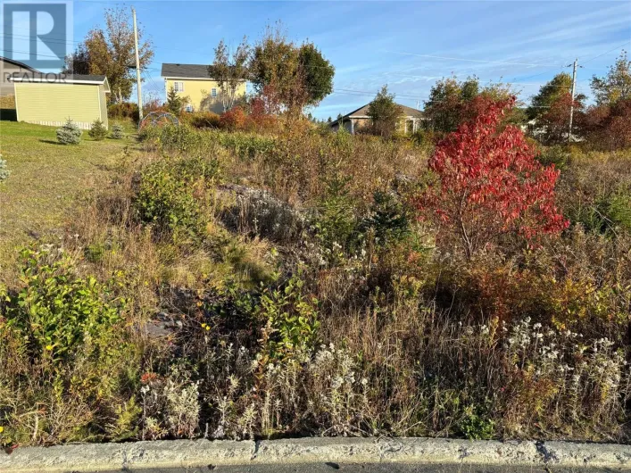 59 Badcock Boulevard, Bay Roberts