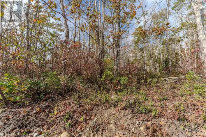 59 Morton Drive, Liverpool