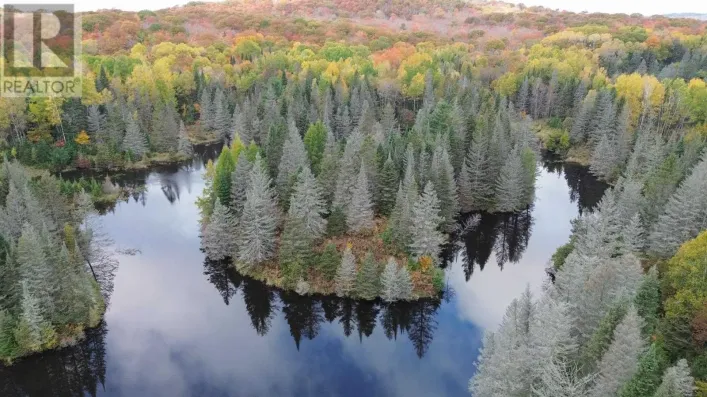 59 Scheuermann RD, Huron Shores