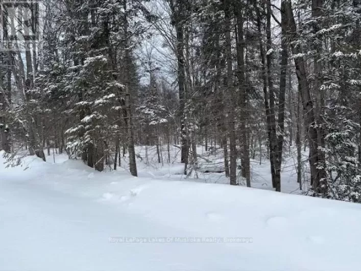 59 SUMMER LEIGH TRAIL, Huntsville