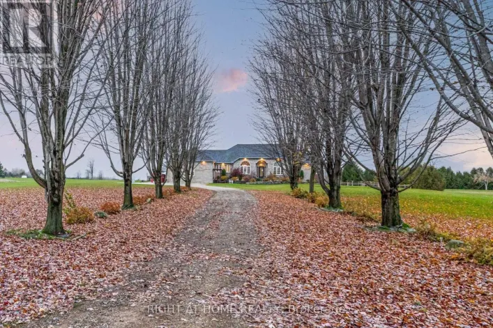 594228 BLIND LINE, Mono