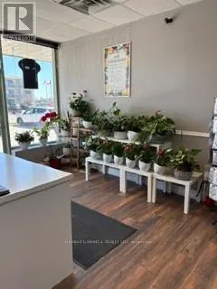 6 - 139 GEORGE STREET N, Peterborough