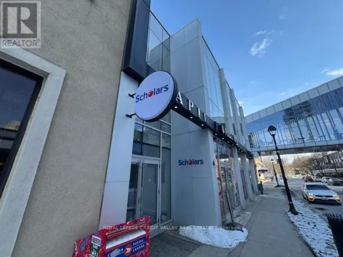 6 GEORGE STREET, Brampton