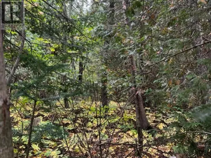 6 SHORE ROAD, Saugeen Shores