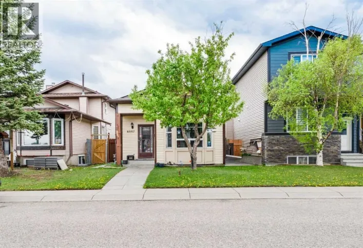 6087 Martingrove Road NE, Calgary