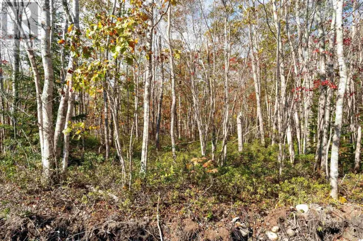 61 Morton Drive, Liverpool