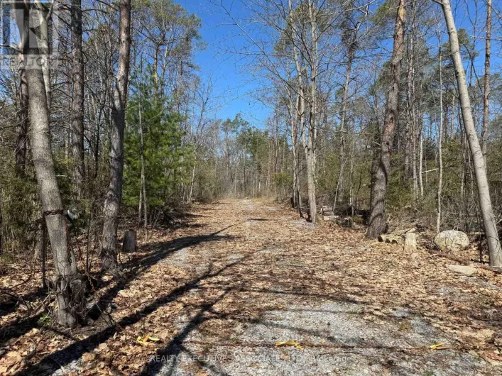6192 COUNTY RD 50, Trent Hills