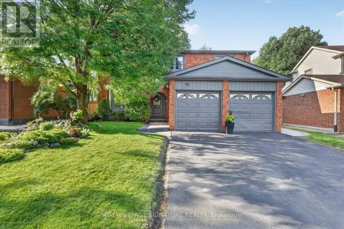62 MASSEY STREET, Brampton