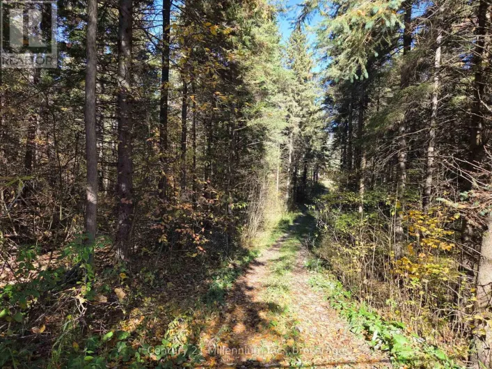 627383 15 SIDE ROAD, Mulmur