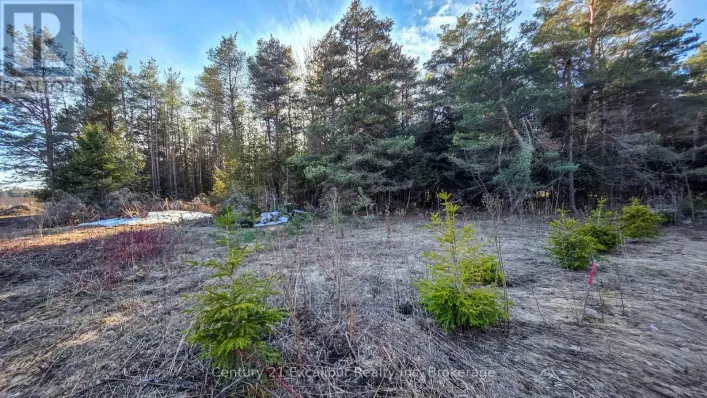 6382 FIFTH LINE, Centre Wellington