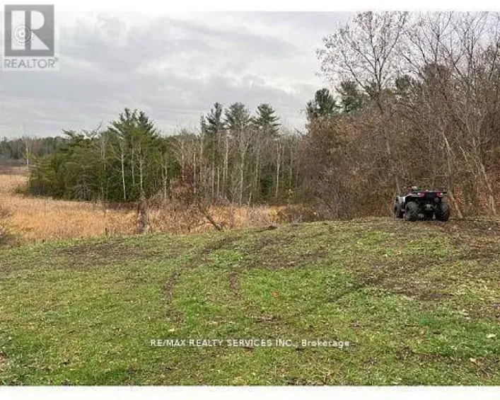 6385 YONGE STREET, Innisfil