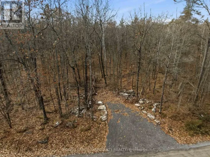 64 MAPLE ROAD, Marmora and Lake