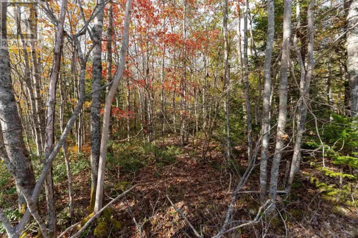 64 Morton Drive, Liverpool