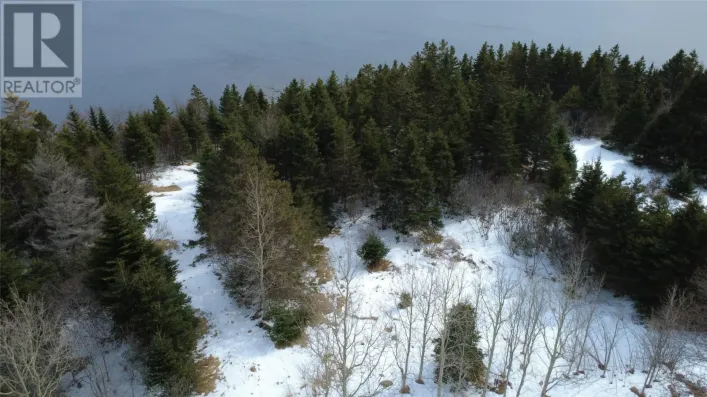 643A Ville Marie Drive, Marystown