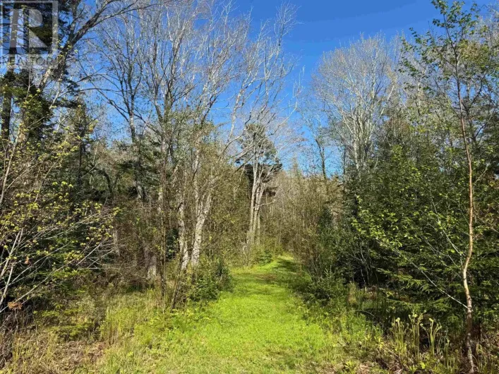 680 Mood Road, Summerville