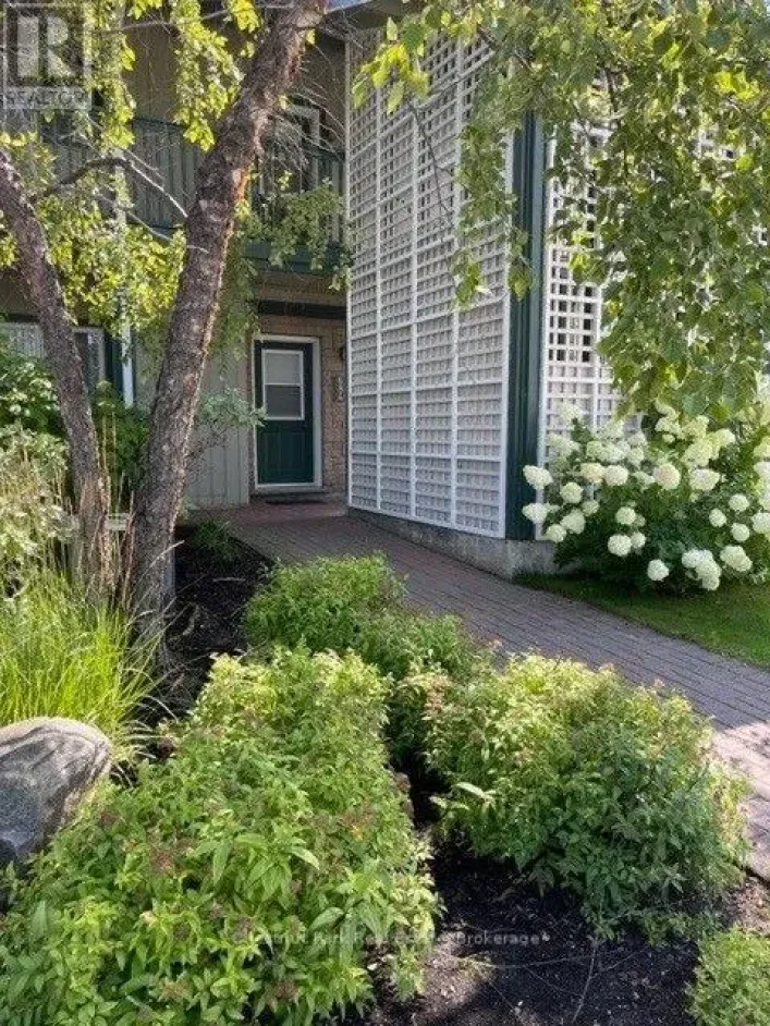 684 JOHNSTON PARK AVENUE, Collingwood