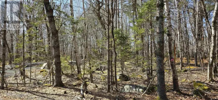 69 Sparkling Spring Lane, Labelle