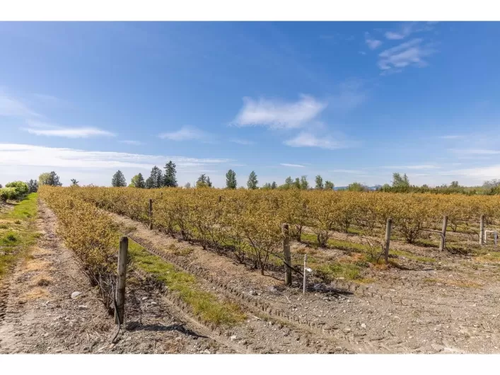 6905 BRADNER ROAD, Abbotsford