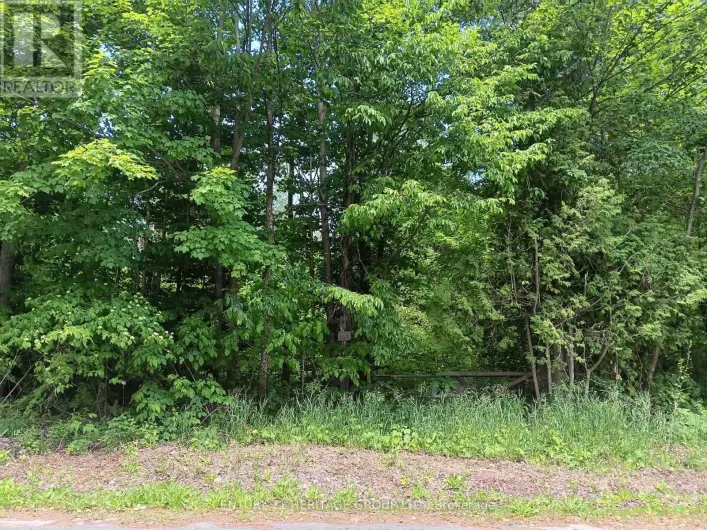 7 LINE, Innisfil