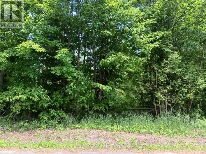 7 LINE, Innisfil