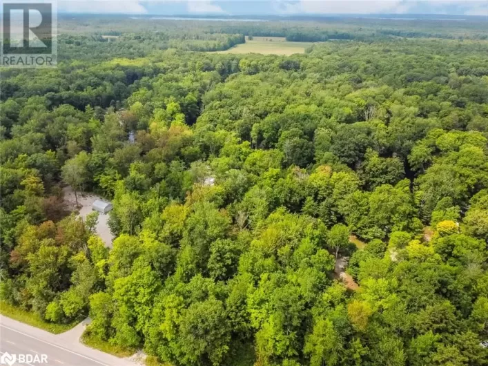 7012 COUNTY ROAD 169, Ramara