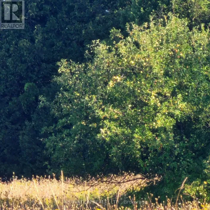 7020 GALLAGHER ROAD, Ottawa