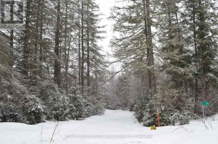 71 BLACK CREEK ROAD N, Nipissing