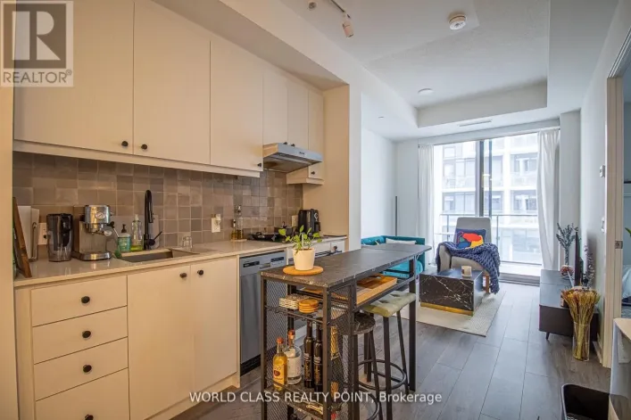 711 - 9 TECUMSETH STREET, Toronto