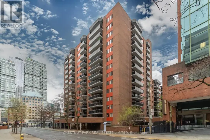 715 - 20 SAINT PATRICK STREET, Toronto