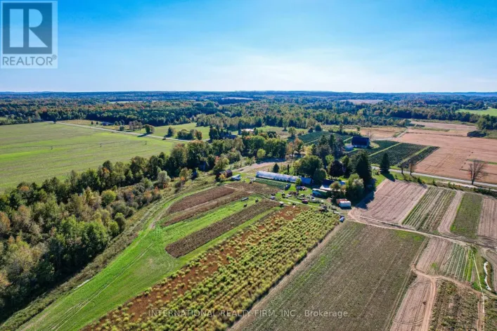 7423 CONCESSION 3 ROAD, Adjala-Tosorontio