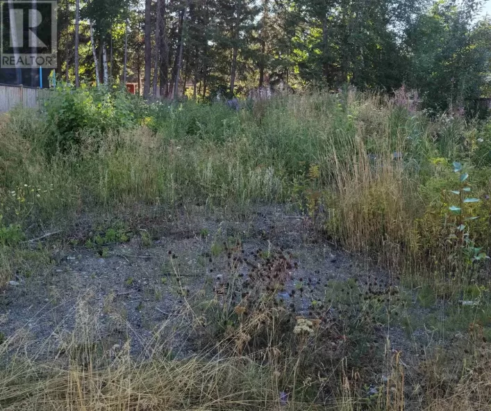 7581 LOEDEL CRESCENT, Prince George