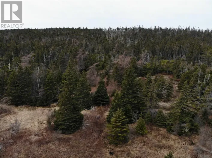 76 - 84 Conception Bay Highway, Holyrood