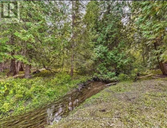 7670 19TH SIDE ROAD, King