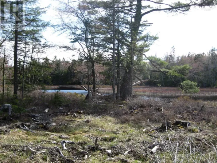 77 Bear Cove Road, Greenfield