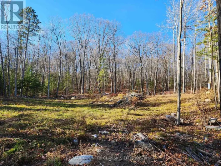 790 MITCHELL ROAD, Madawaska Valley