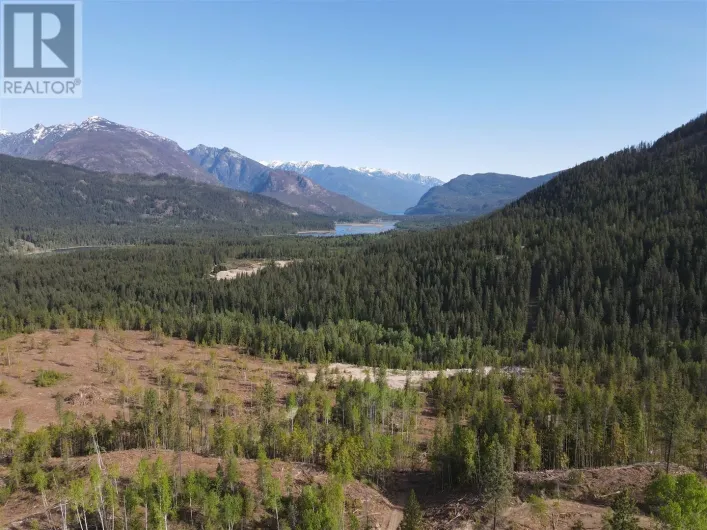 Other for sale: 7928 Lemon Creek Road, Slocan