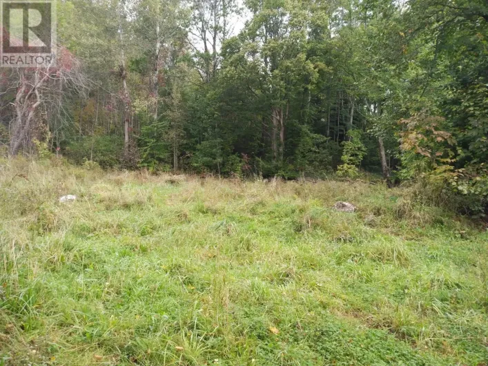 793 Lahave Street, Bridgewater